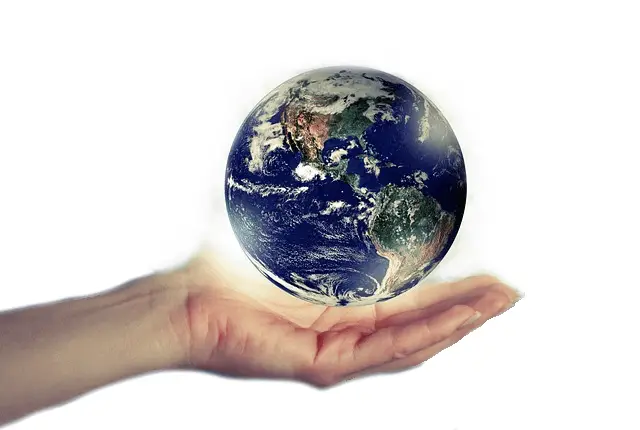 Our Services Overview